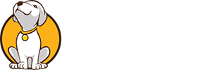 the snout