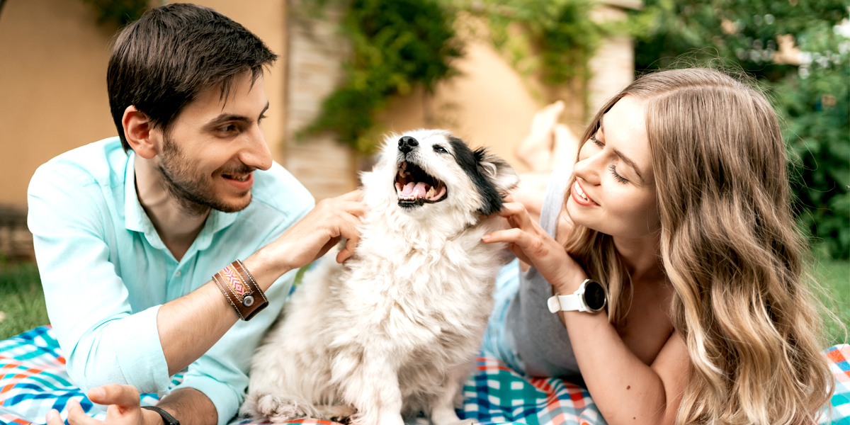 Choosing a pet: A guide to finding the right companion for your home