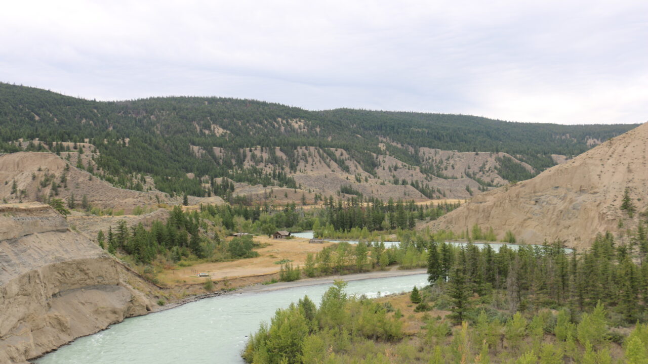 Salmon habitat destruction probe ends in fines of nearly $400,000