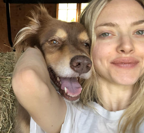 Amanda Seyfriend was shocked with the amount of plastic in her pet's body