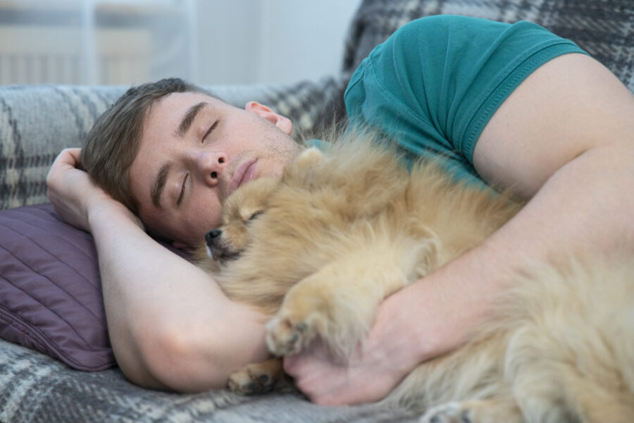 Nearly half of Australian owners let their pets in bed with them; do you?