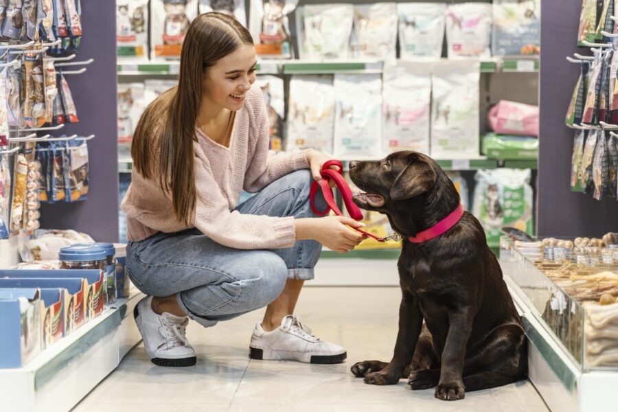 PetSmart CFO holds the fort as CEO steps down