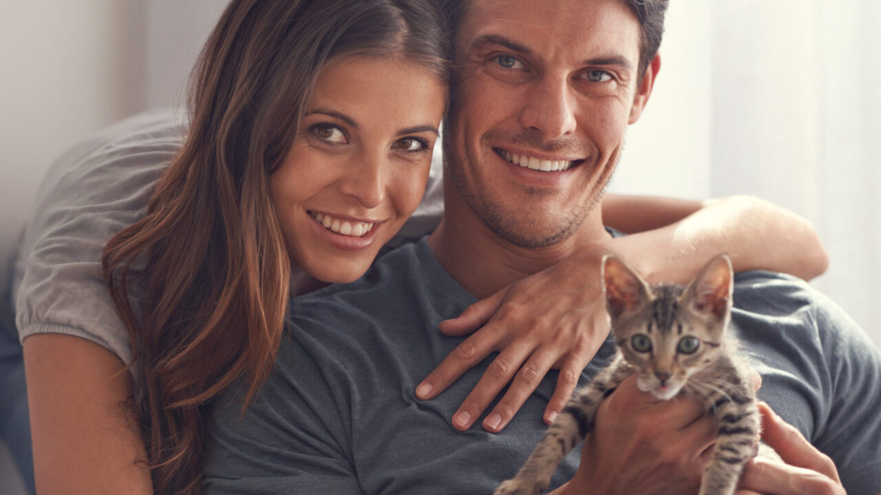 More men than women keep cats, pet ownership study finds