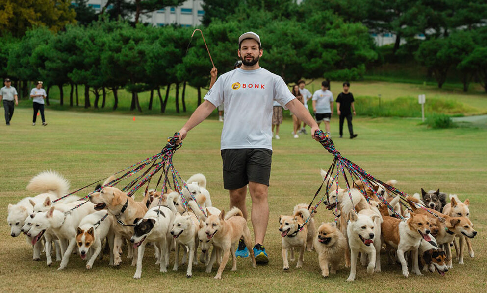 BONKers! Canadian walks 38 dogs to promote adoption