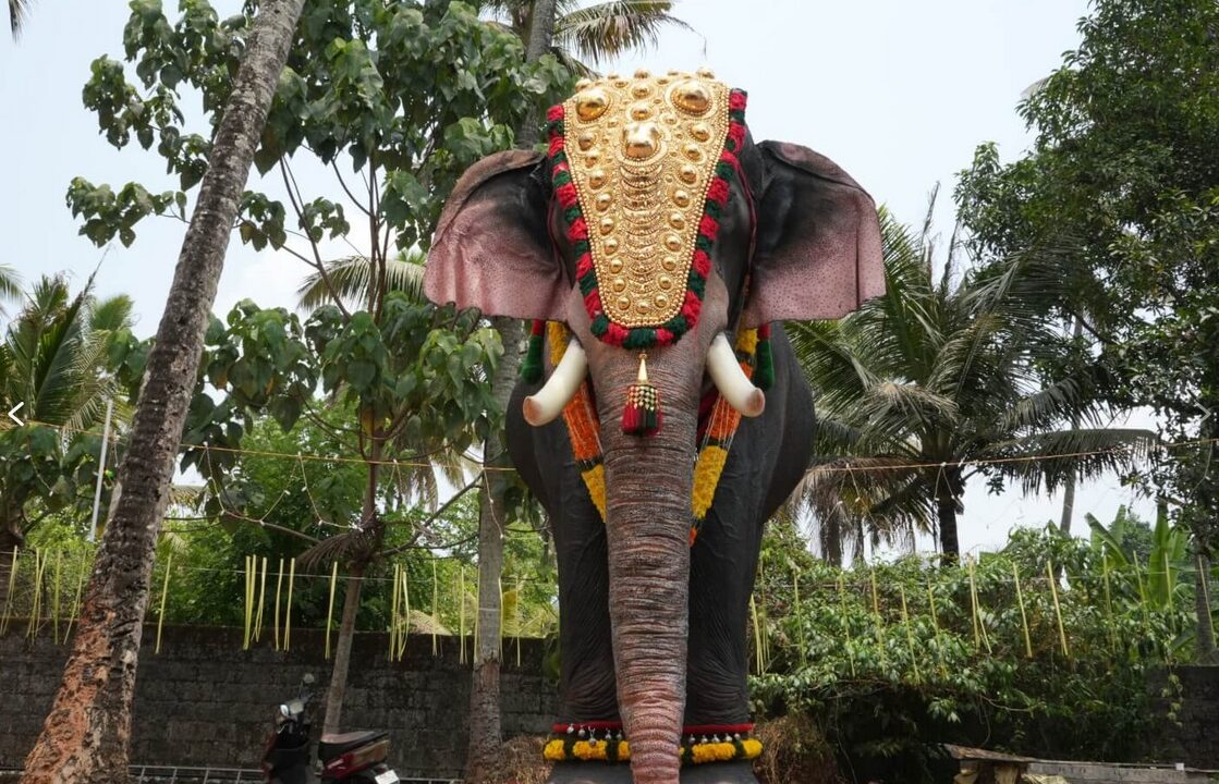 PETA offers temple robotic elephant after live animal kills 2