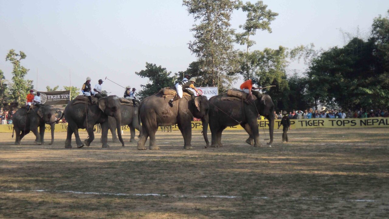 John Abraham urges Nepal to end elephant abuse festival