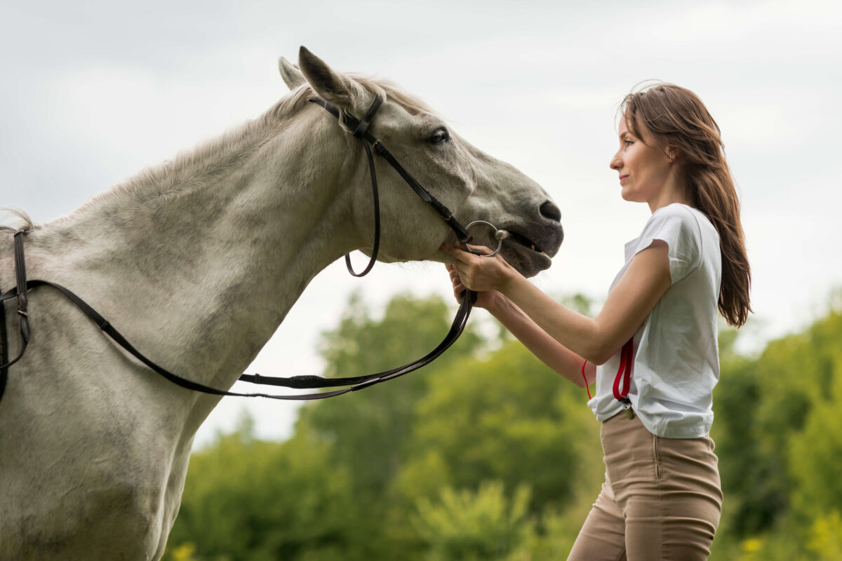 The Mind of a Horse is a useful book to understand horses